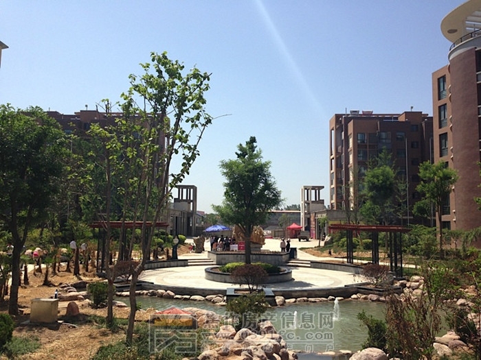 金山·東方花園實景圖