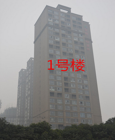 常綠·林溪谷工程進(jìn)度