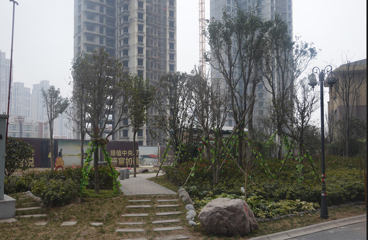 常綠·林溪谷小區(qū)實(shí)景