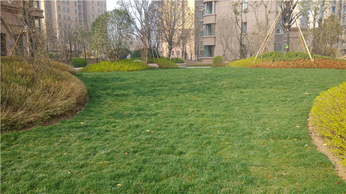 百大嘉苑小區(qū)內(nèi)景圖