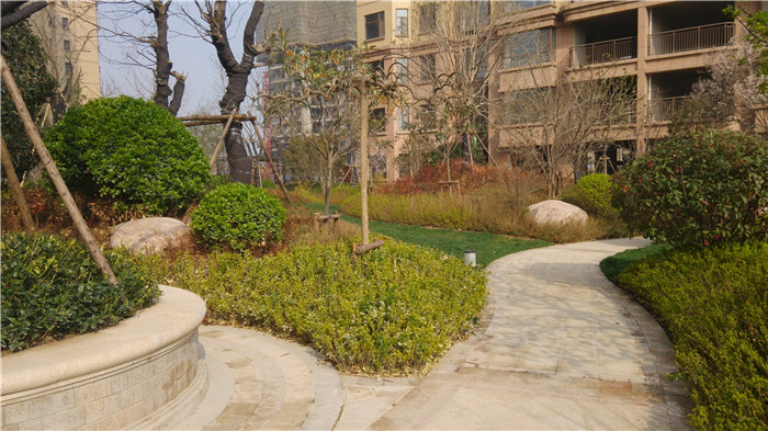 百大嘉苑小區(qū)景觀圖