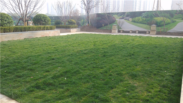 百大嘉苑小區(qū)實(shí)景