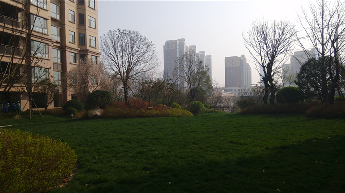 百大嘉苑小區(qū)內(nèi)景圖