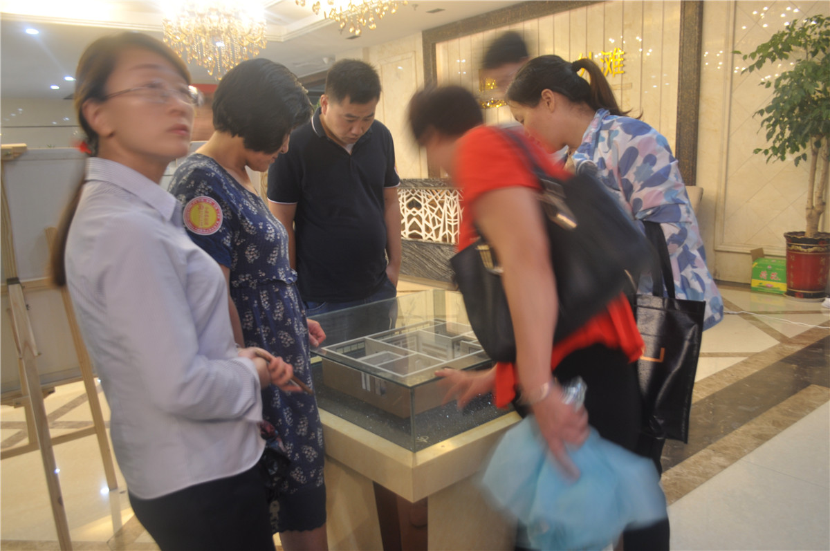 置業(yè)顧問(wèn)講解戶型