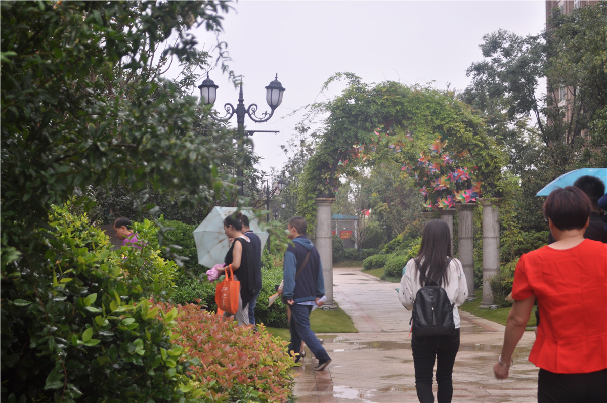 清新自然的環(huán)境