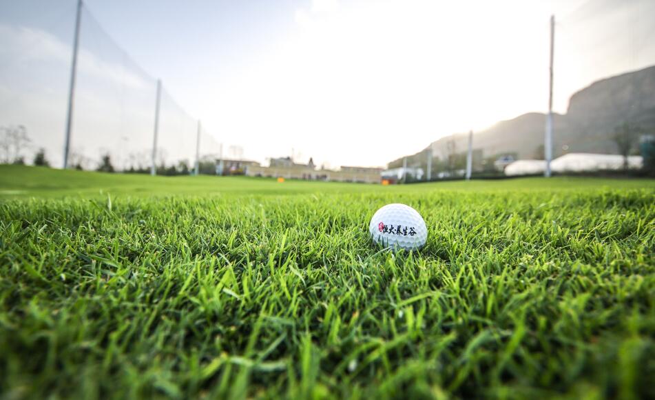 項目位于中原城市半小時經(jīng)濟圈，緊鄰306省道，距鄭云高速云臺山收費站3km，依托鐵路、城軌、高速等立體交通網(wǎng)，連通西安、山東、武漢、上海、北京等省市，通達全國。修武西站距離云臺山有中巴旅游專線，直達云臺山景區(qū)，約三十分鐘車程：焦作火車站及焦作市區(qū)至云臺山，有三路公交車專線，約四十分鐘車程。焦作房產(chǎn)網(wǎng)服務(wù)電話：400-0391-661轉(zhuǎn)0