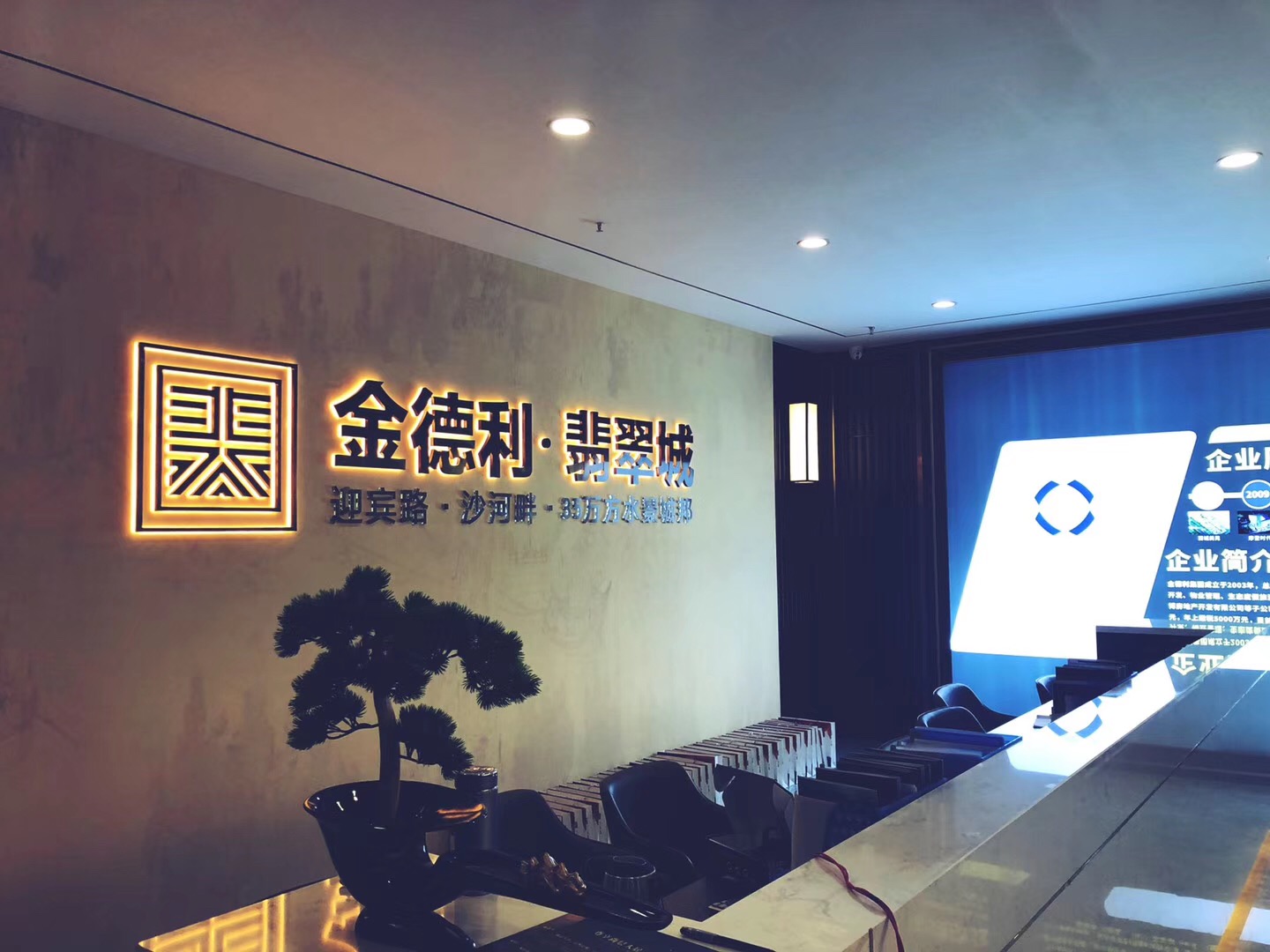 金德利·翡翠城實景圖