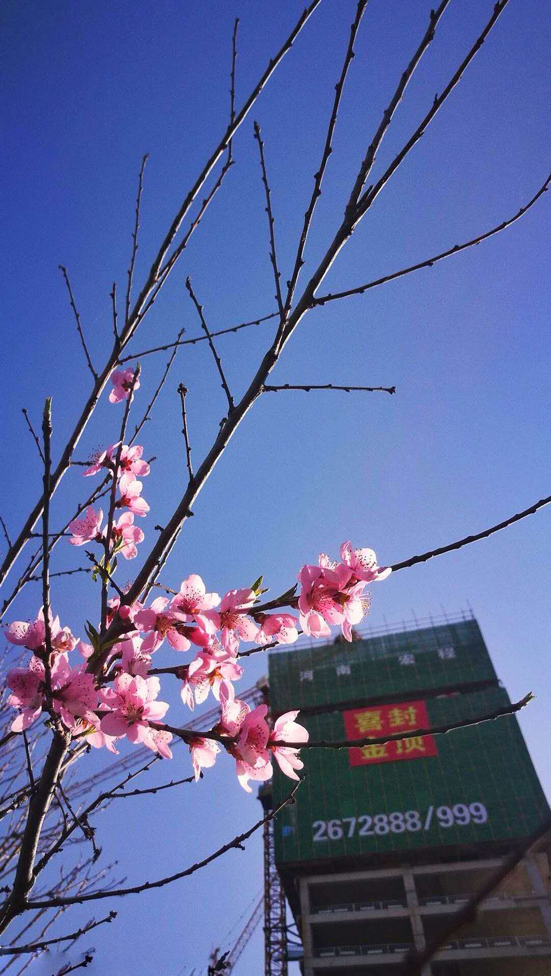 常新銀河商務(wù)中心實景圖