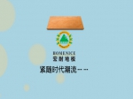宏耐地板   緊隨時(shí)尚潮流
