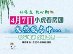 小虎看房團“五盤連看” 今日下午（7日）準時起航