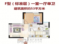 一室一廳單衛(wèi)53平方