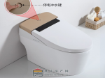 安裝智能馬桶 水質(zhì)問題需考慮