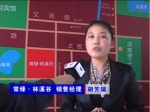 2011房博會(huì)常綠·林溪谷銷售經(jīng)理胡總專訪