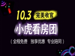 銀十來襲  小虎看房團(tuán)131期國(guó)慶專場(chǎng)完美收官