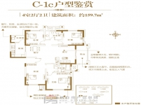 建業(yè)·壹號城邦159.7平戶型