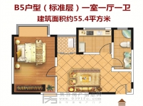 一室一廳一衛(wèi)55.4平方