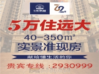 遠(yuǎn)大·未來(lái)城廣告