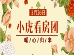 春風吹得樓市暖 小虎看房團119期意向成交5套