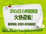 3月26日小虎看房團報名即將結(jié)束