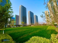 藍城桂語江南實景圖