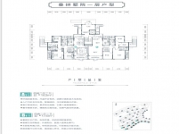 云臺山恒大養(yǎng)生谷疊拼墅院一層戶型品鑒