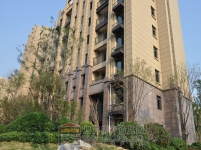 建業(yè)·公園里6月工程進度