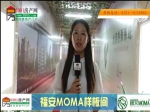 小虎探盤之福安MOMA樣板間