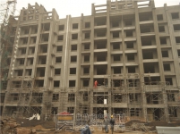 建業(yè)·公園里2015年11月工程進度