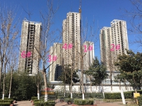 2017年3月正大國貿(mào)中心工程進度