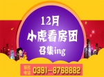 12月小虎看房團(tuán)搶房大戰(zhàn)火熱召集中
